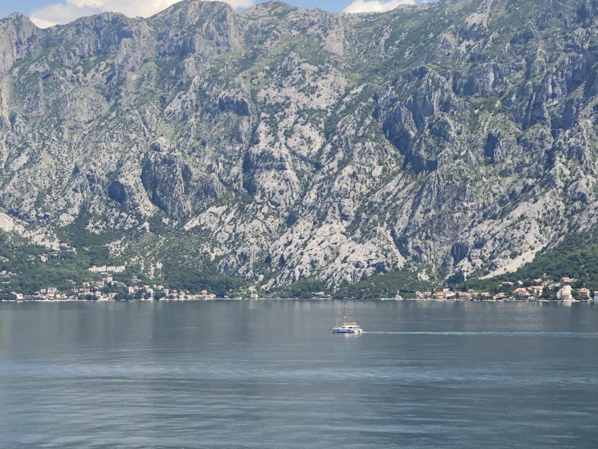 Lux Boka Sea View Apartment Kotor Dış mekan fotoğraf